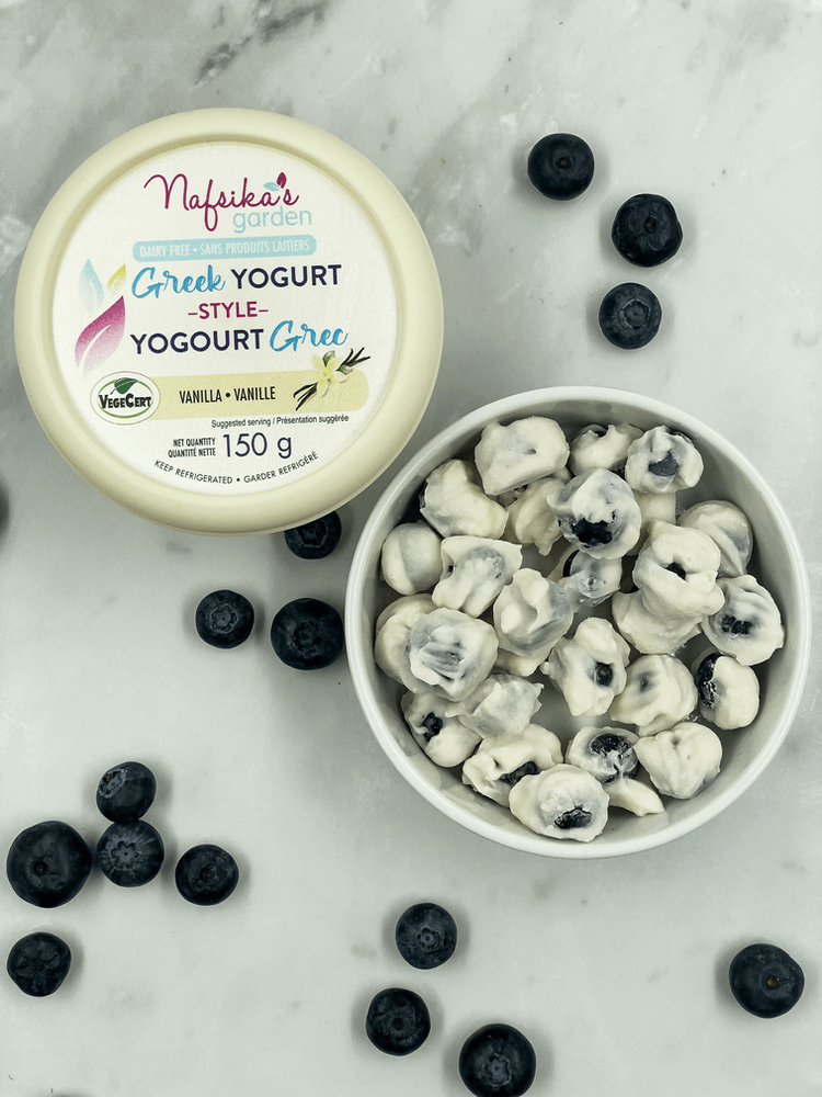 The Chilled Delight: Frozen Blueberry Yogurt Bites