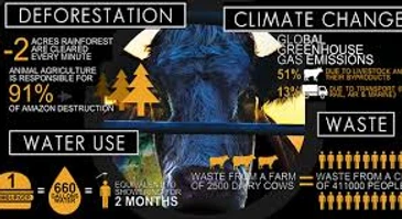 Environmental Destruction – Cowspiracy