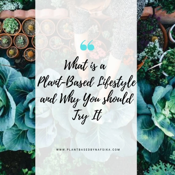 ¿Qué es una dieta basada en plantas?